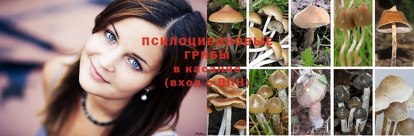 не бодяженный Лабытнанги