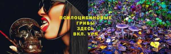 герыч Ладушкин