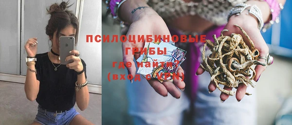 не бодяженный Лабытнанги