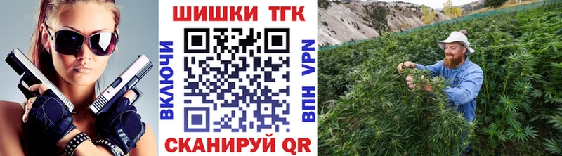 Бошки марихуана Amnesia  где можно купить   кракен ТОР  Рыльск 